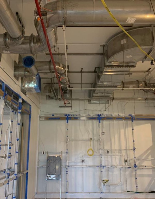 WhatsApp Image 2022-05-09 at 11.49.15 AM (2)