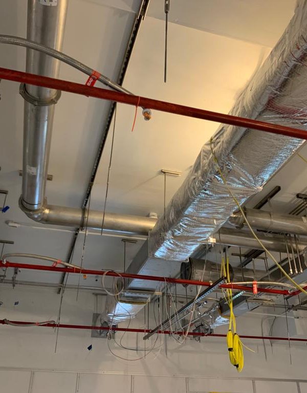 WhatsApp Image 2022-05-09 at 11.49.15 AM